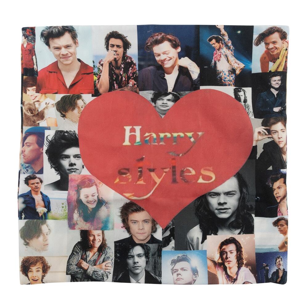 NEW - Harry Styles Pillow Case, 18" x 18" Double Sided Print w/Zip Closure